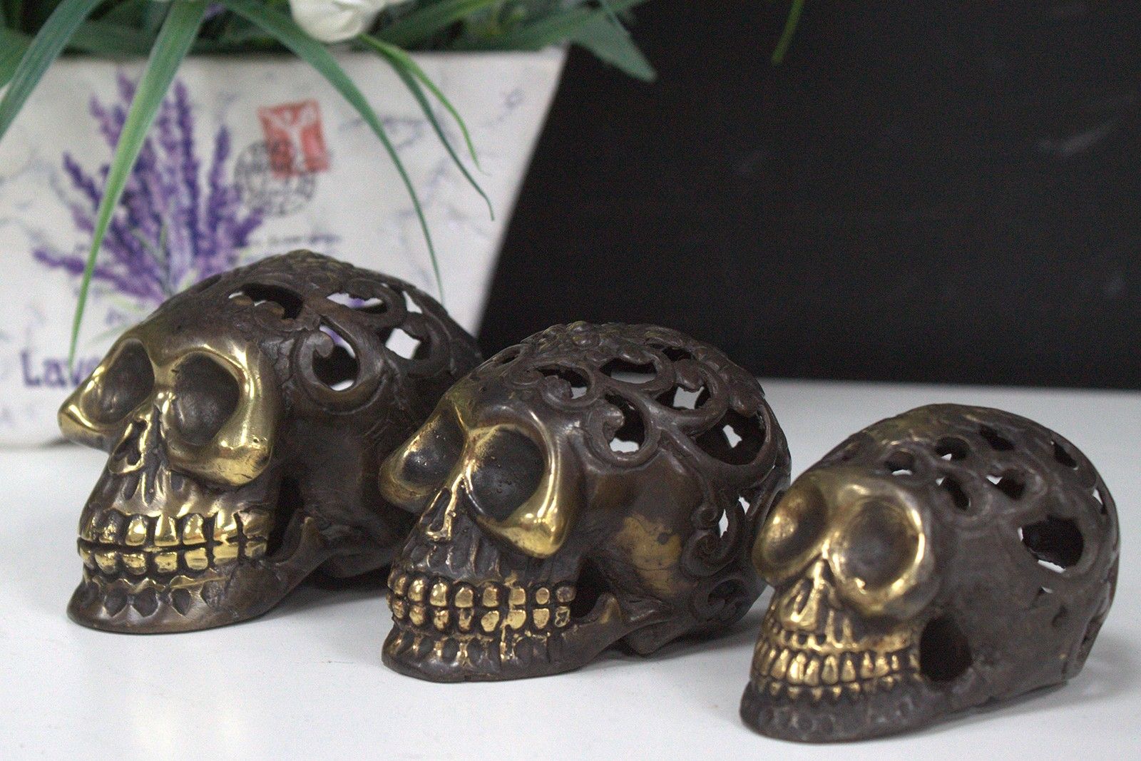 Calavera vintage de latón - Lrg - Imagen 3