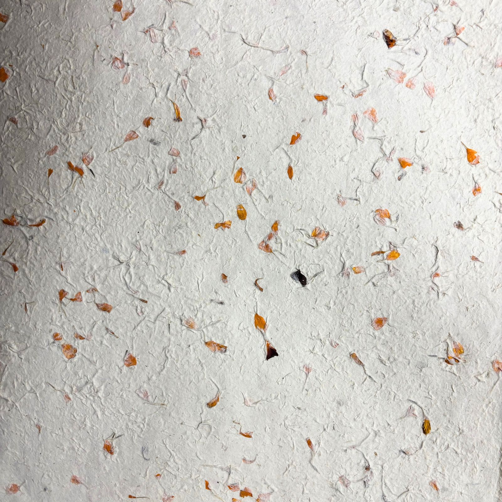 Lokta Craft / Papel de regalo (51x76cm) - Marigold - Imagen 2