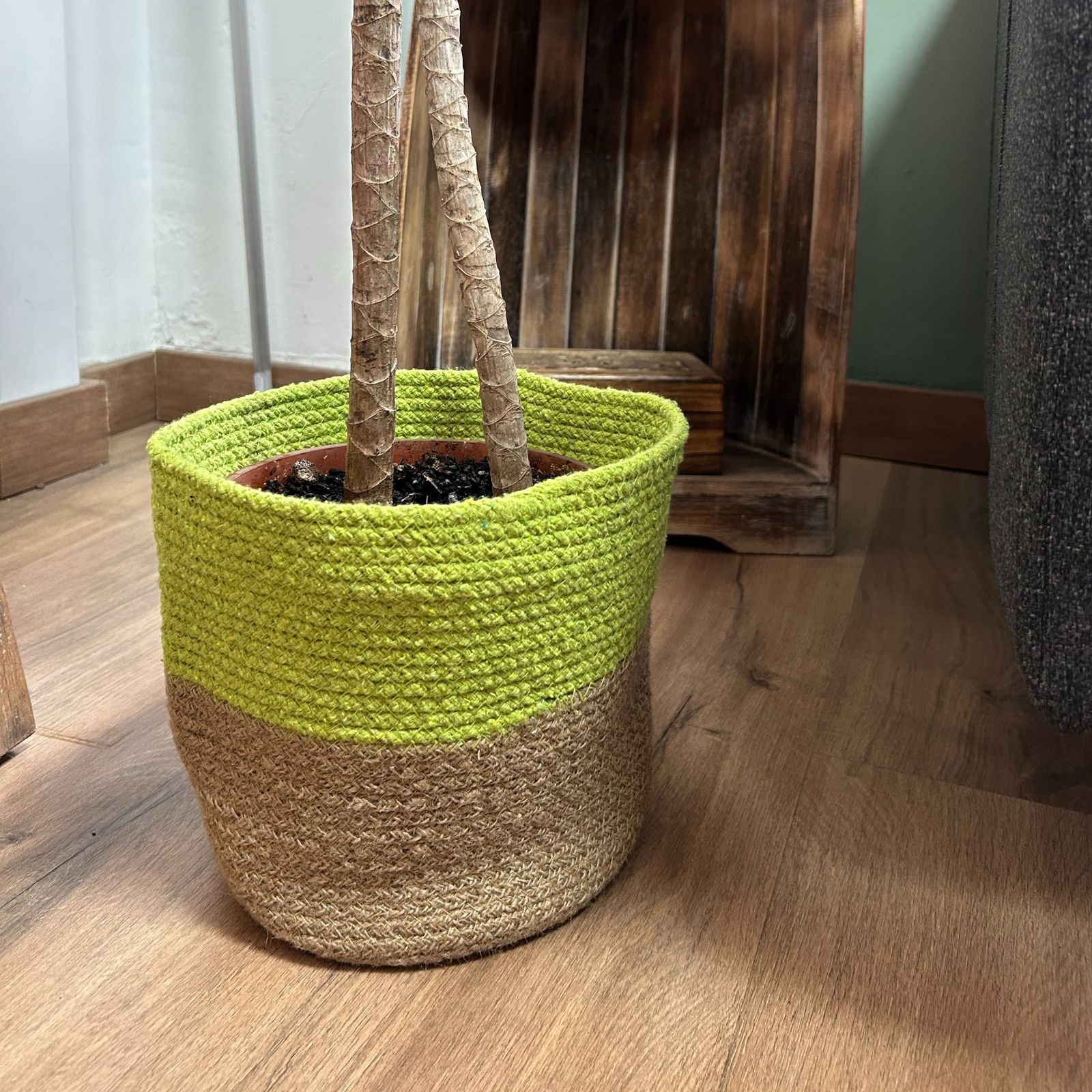 Conjunto de 3 cestas de almacenamiento de cuerda de algodón - Pistacho - Imagen 2