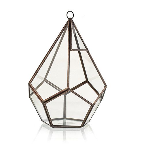 Terrario de Vidrio - Gran Pentagon - Imagen 4
