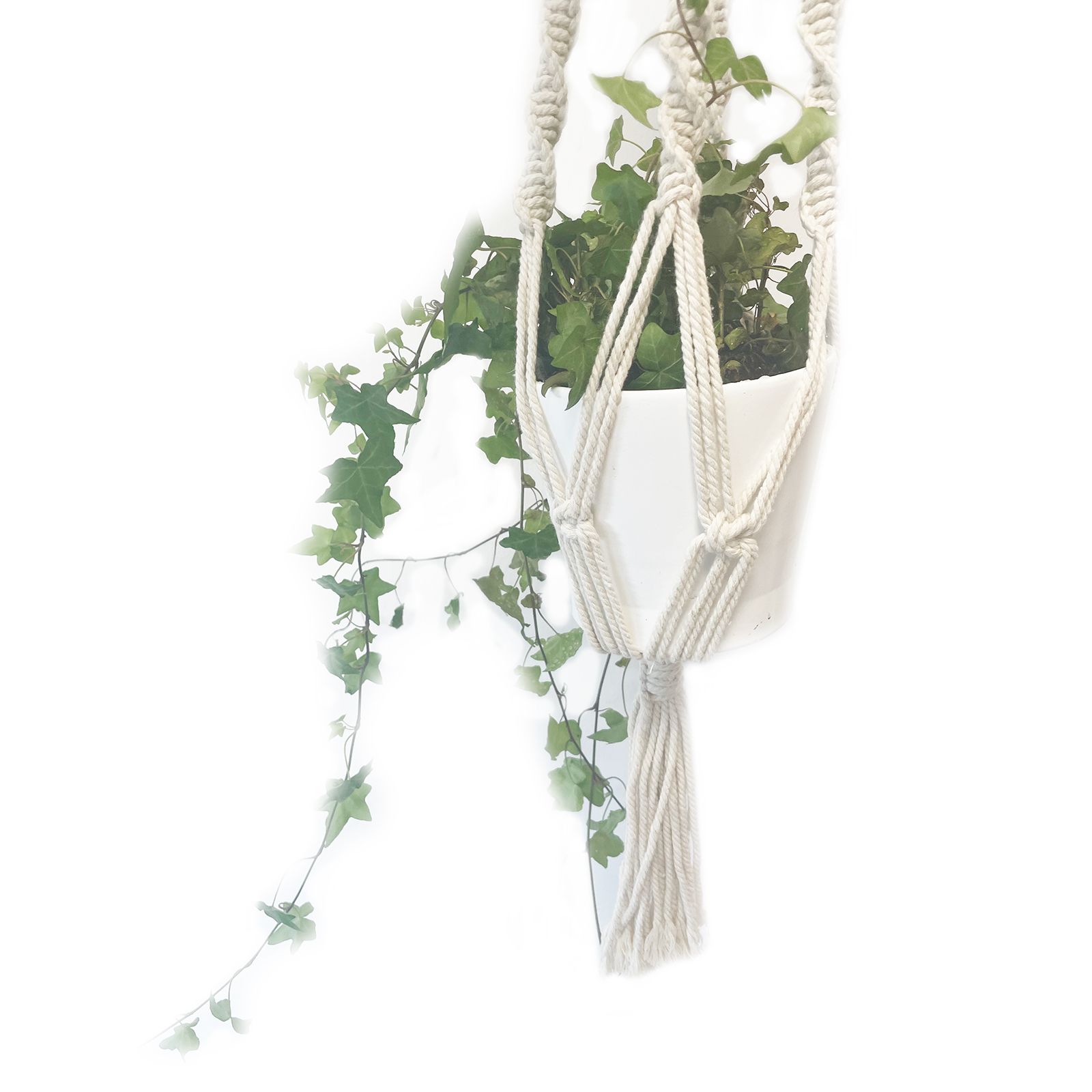Macetero de Macrame - Gran - Extra largo - Imagen 7
