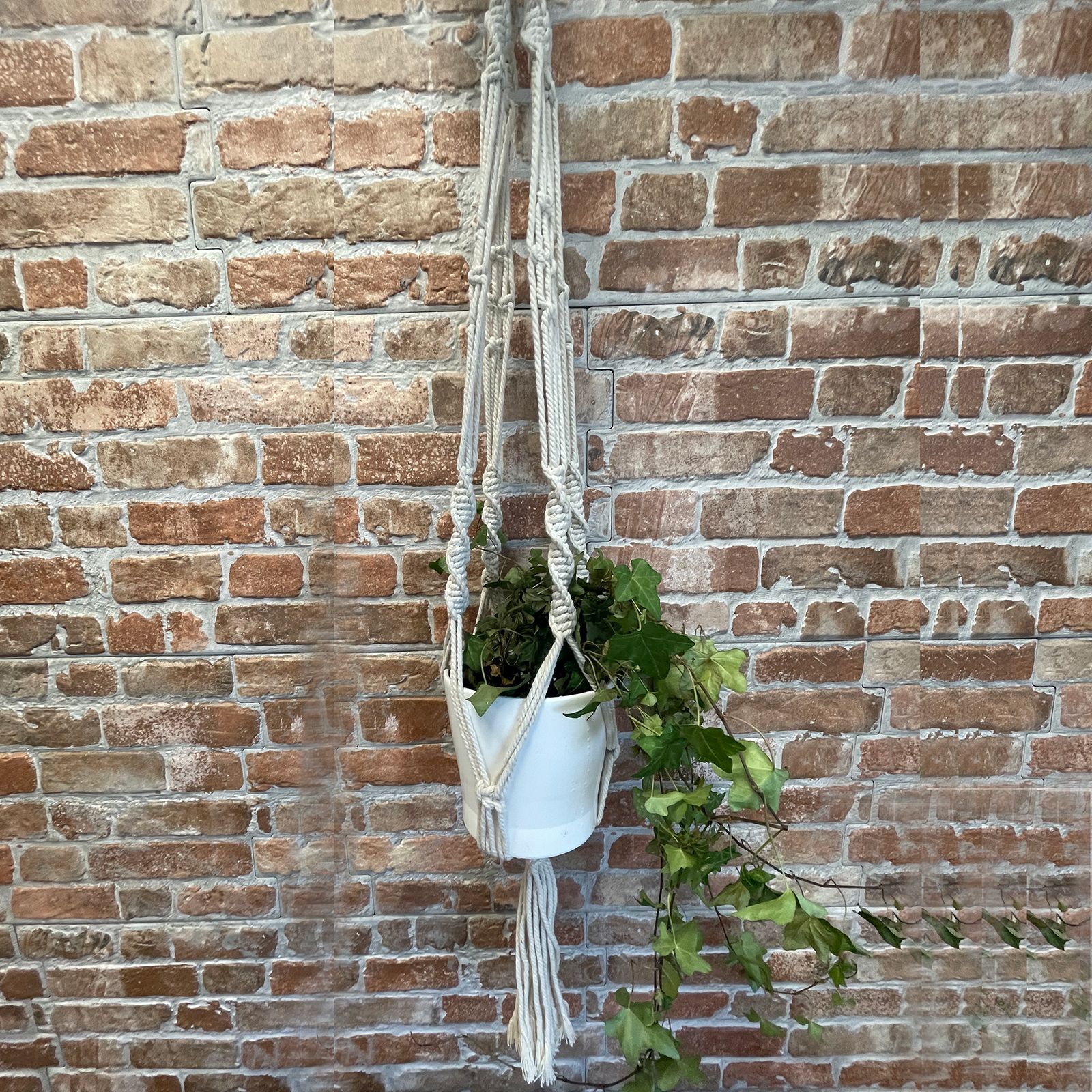 Macetero de Macrame - Gran - Extra largo - Imagen 6