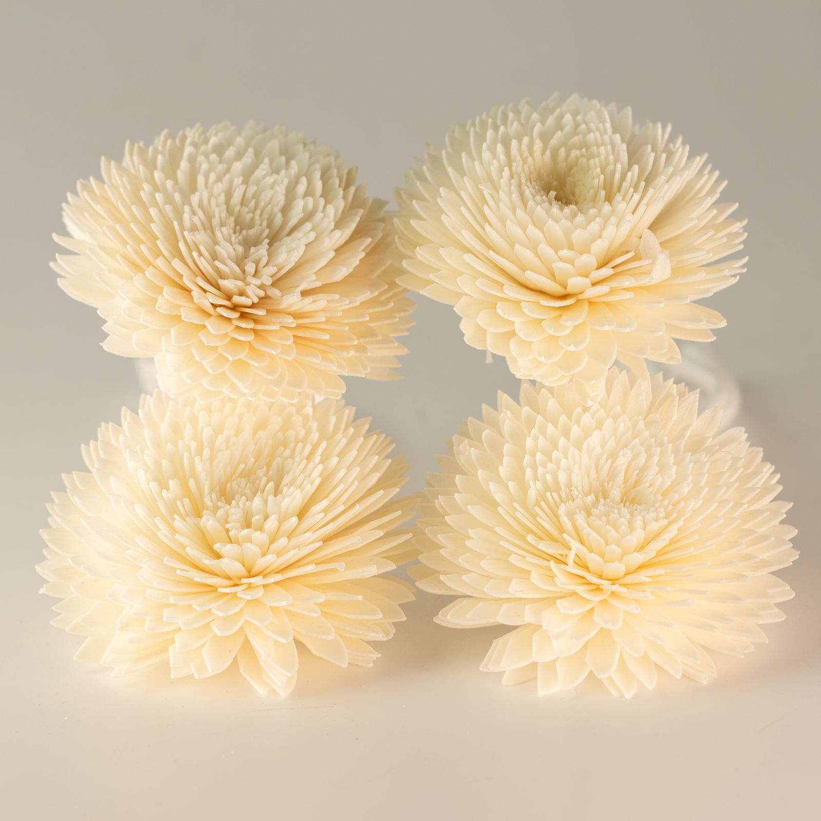 Difusor de Flores Naturales - Clavel Grande en Cuerda - Imagen 8