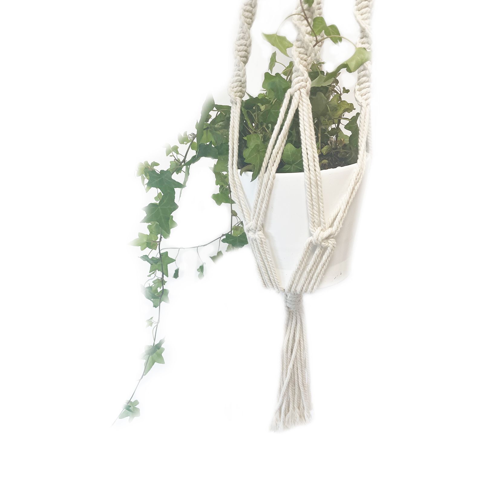 Macetero de Macrame - Gran - Extra largo - Imagen 5