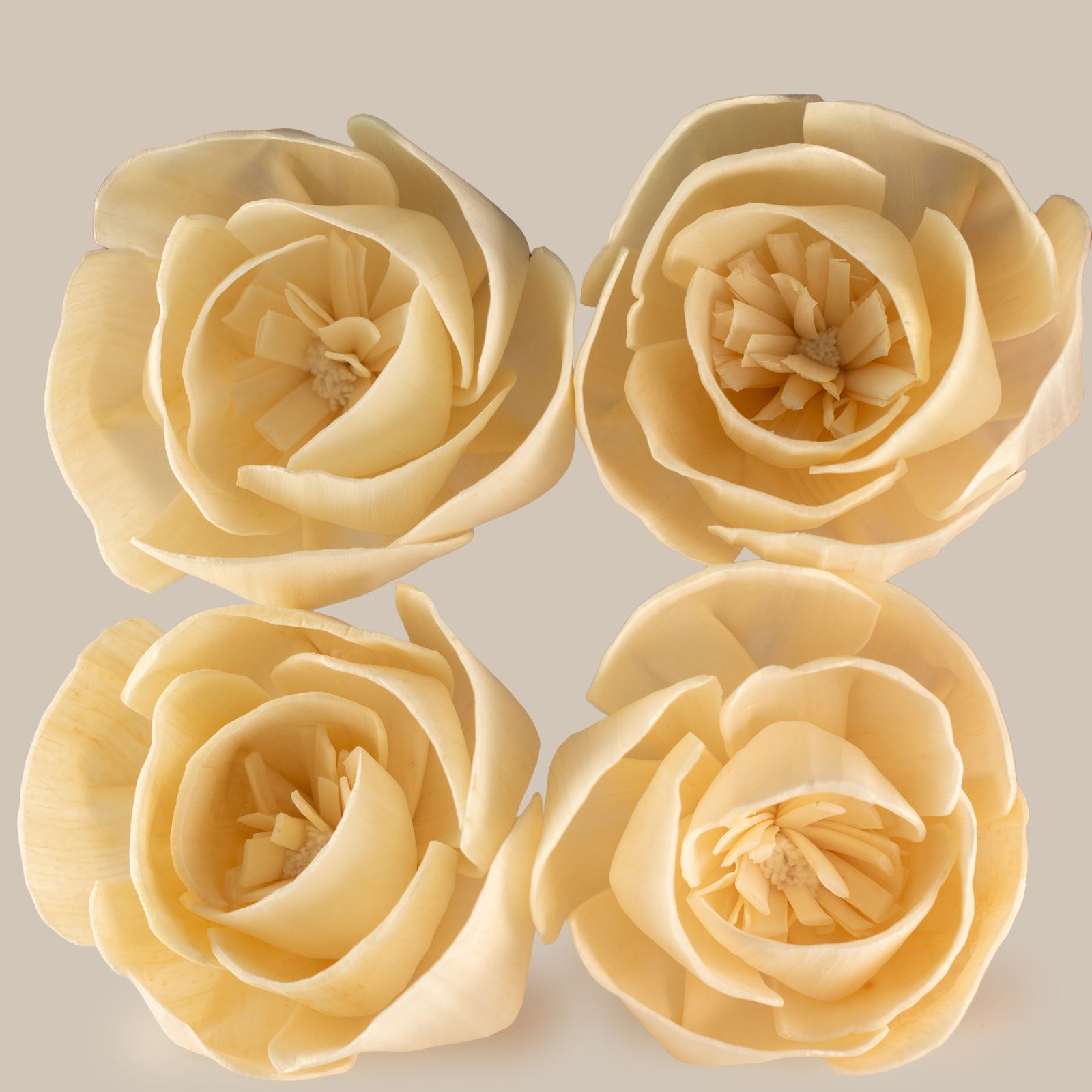 Difusor de Flores Naturales - Rosa Grande en Cuerda - Imagen 6