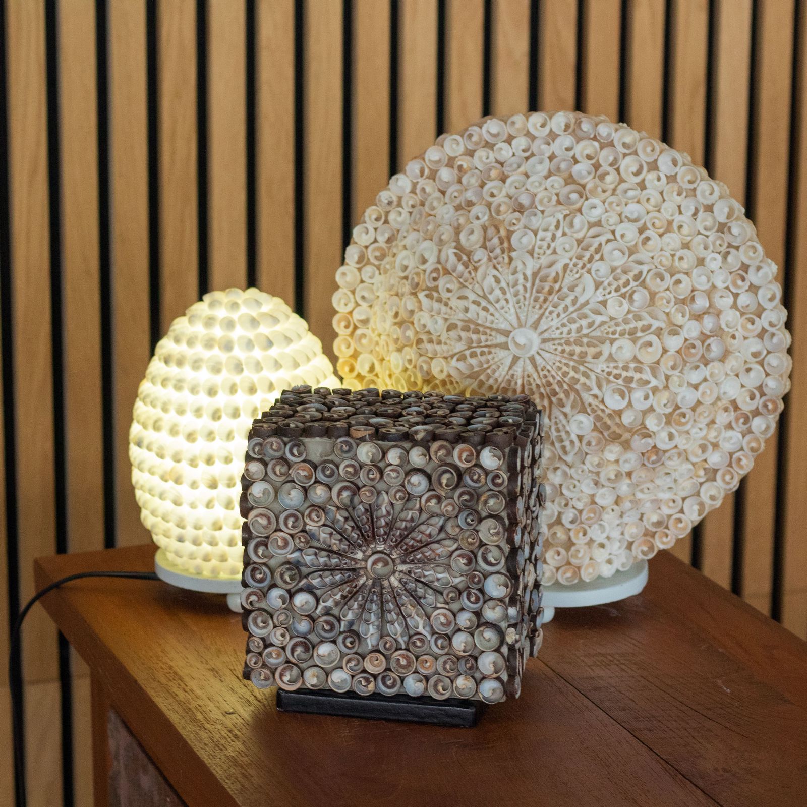 Lámpara Boho de Conchas Marinas - Concha Ovalada - 15 cm - Imagen 4