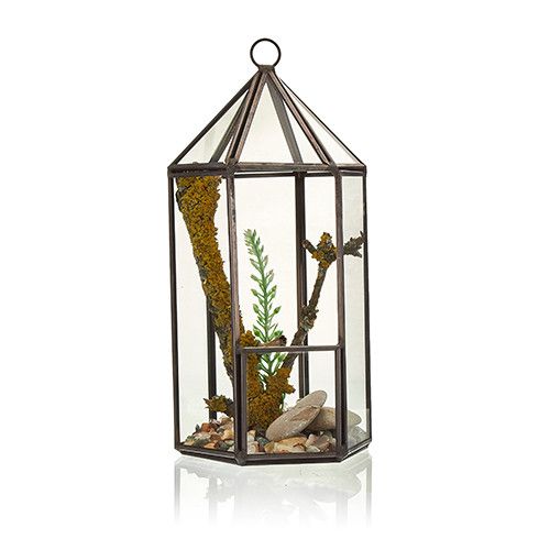 Terrario de Vidrio - Linterna - Imagen 3