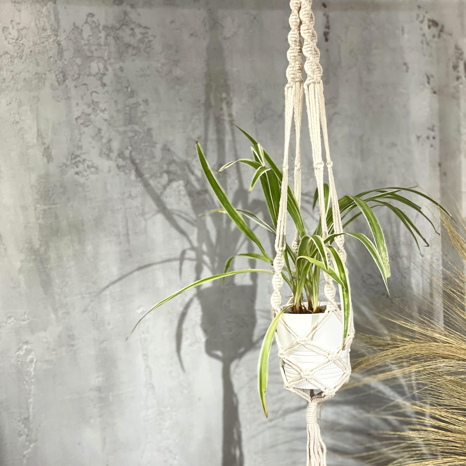 Macetero de Macrame - Gran - Extra largo - Imagen 4