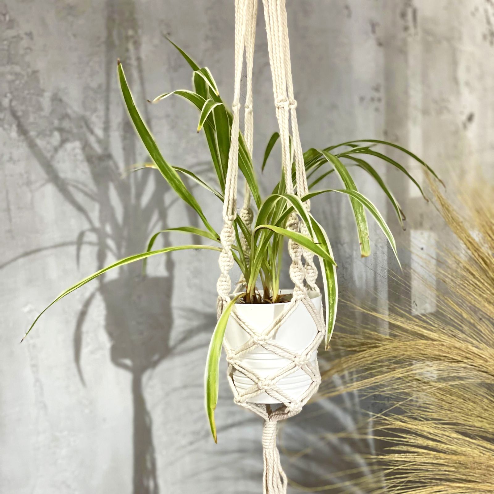 Macetero de Macrame - Gran - Extra largo - Imagen 3