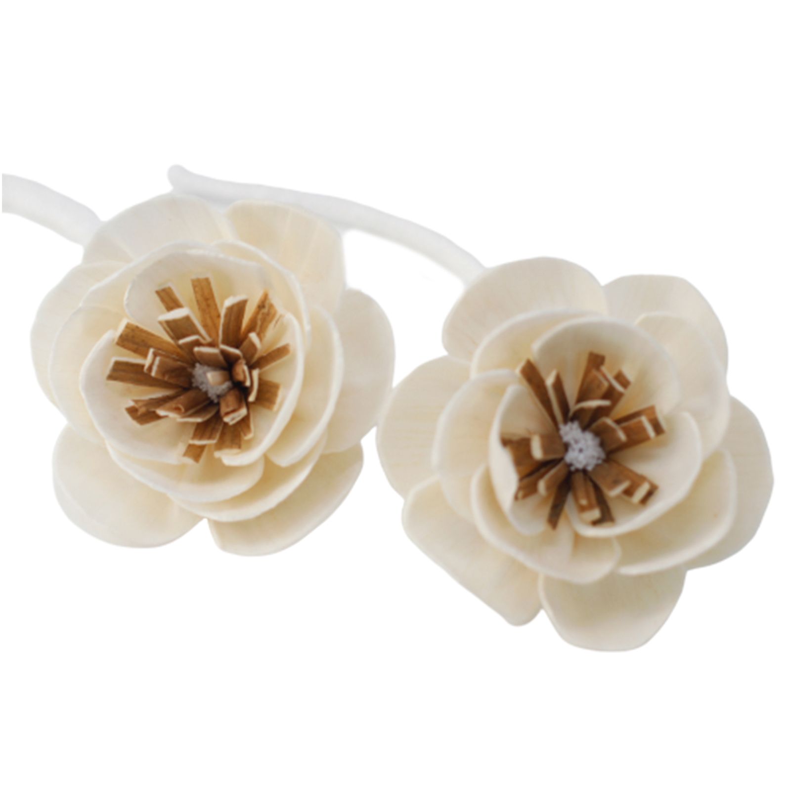 Flores Naturales para Difusor - Amapola Pequeña en Cuerda - Imagen 3