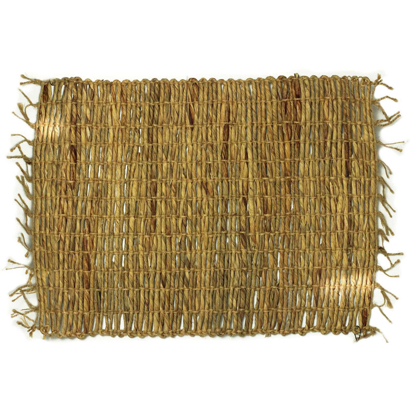 Mantel Individual Jacinto de Agua Natural - Robusta y Flecos - Imagen 2