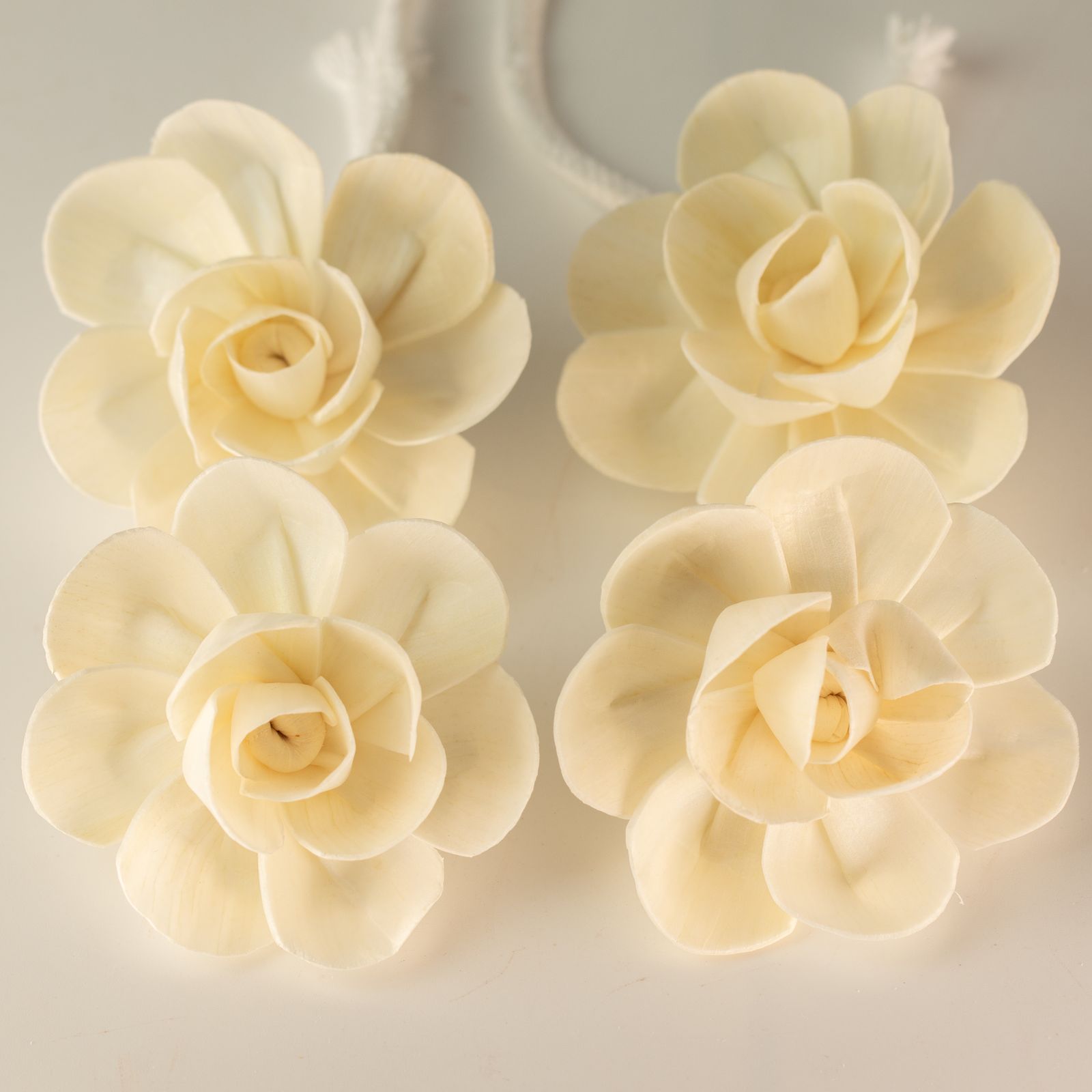 Flores Naturales para Difusor - Loto Grande en Cuerda - Imagen 9