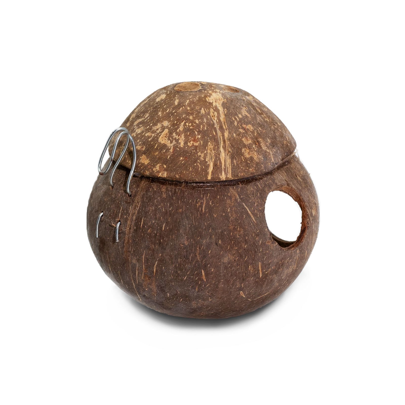 Casita para aves de coco natural - con gancho - 13 cm - Imagen 3