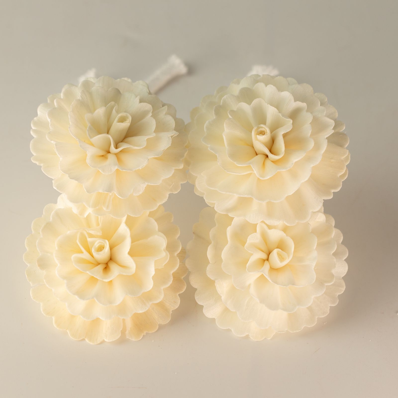 Flores Naturales para Difusor - Clavel Med en Cuerda - Imagen 2