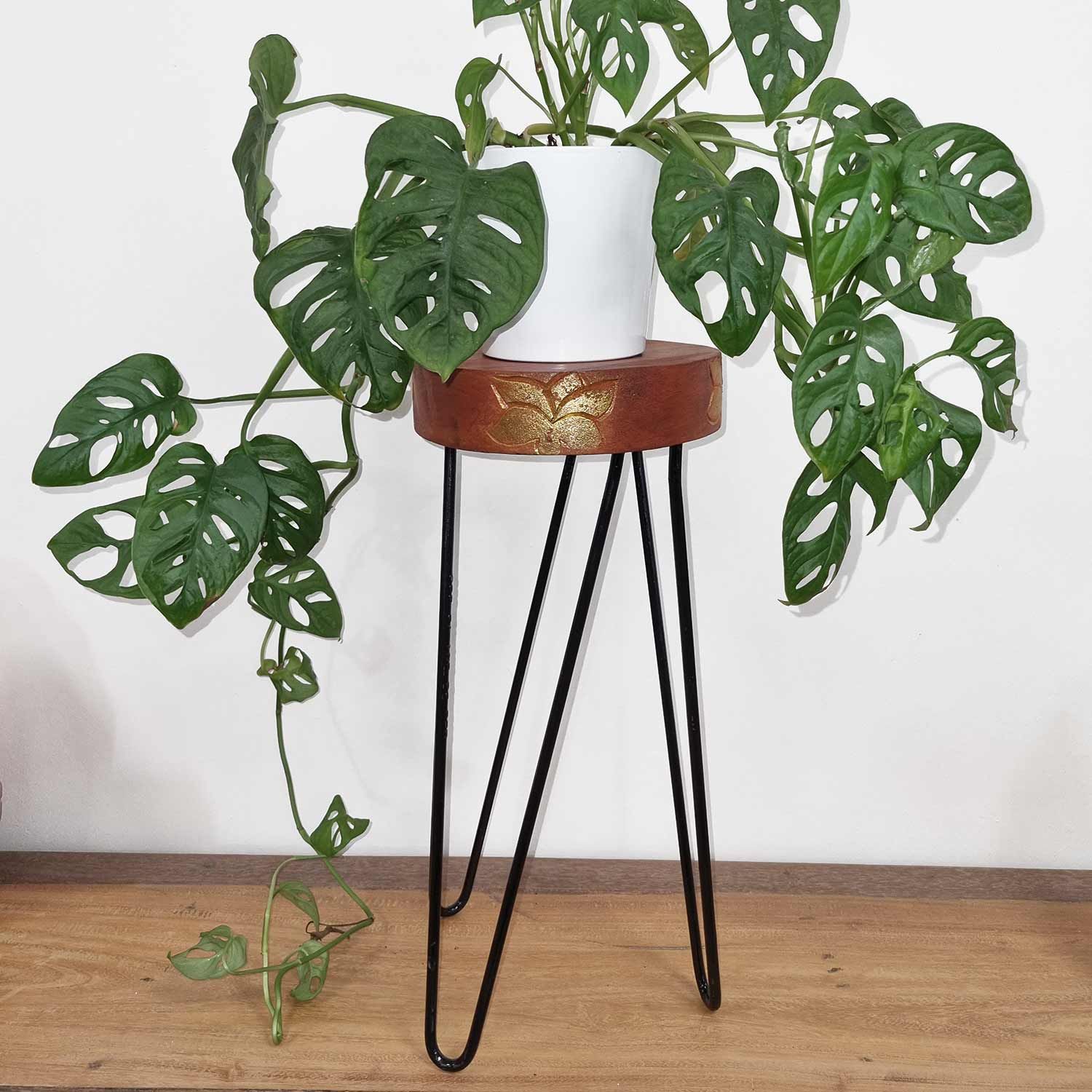 Soporte para plantas de madera de Albasia - Blanqueado - Imagen 3