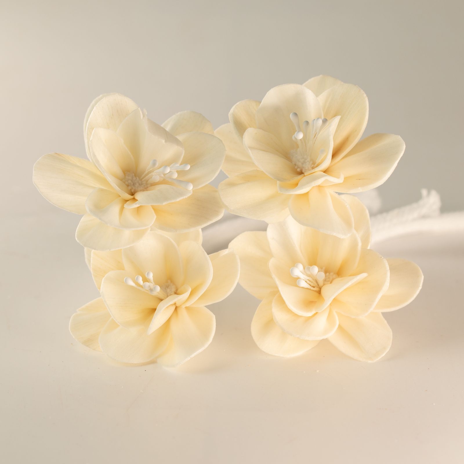 Flores Naturales para Difusor - Lirio Pequeño en Cuerda - Imagen 2