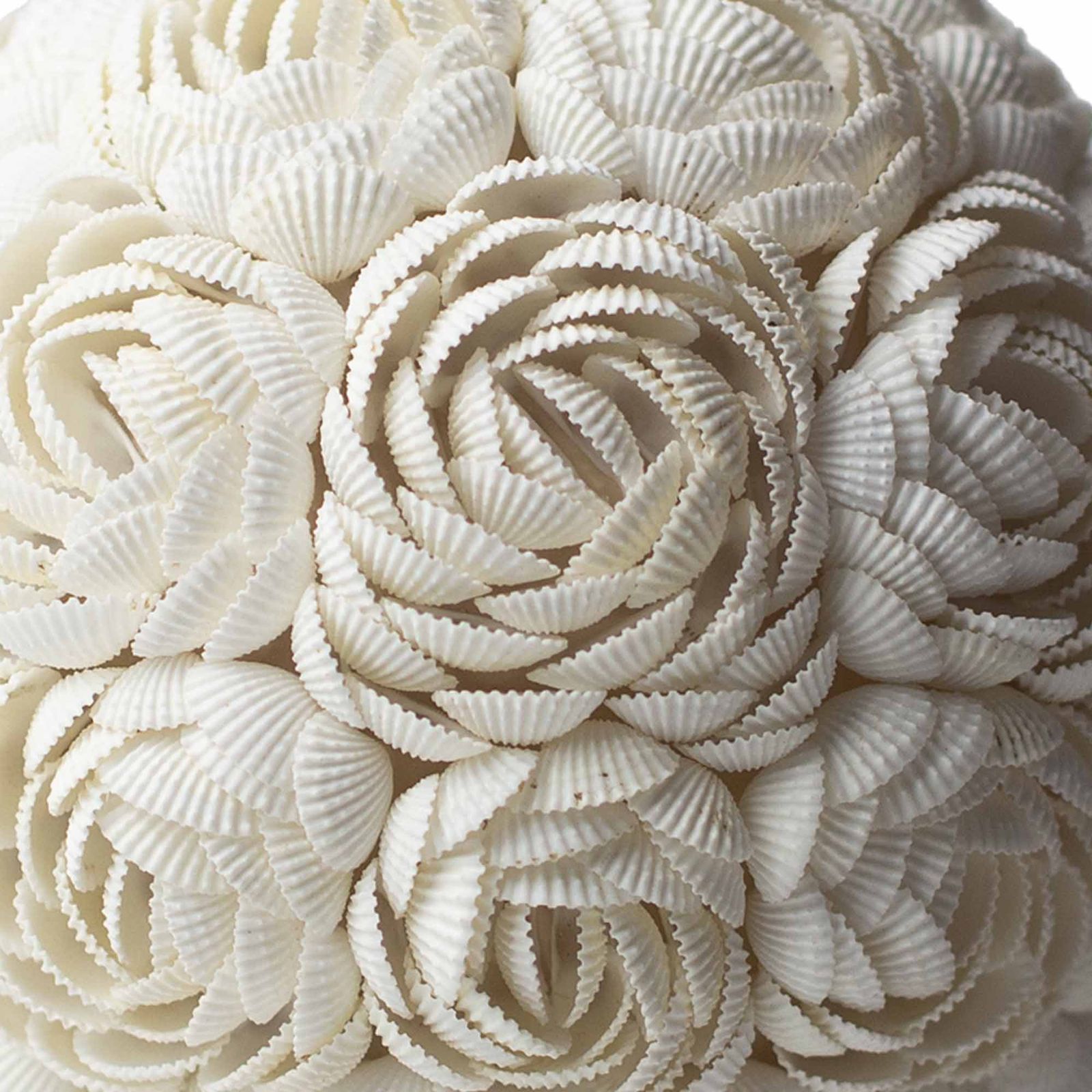 Lámpara Boho Sea Shell - Rosa Ovalada - 15cm - Imagen 2