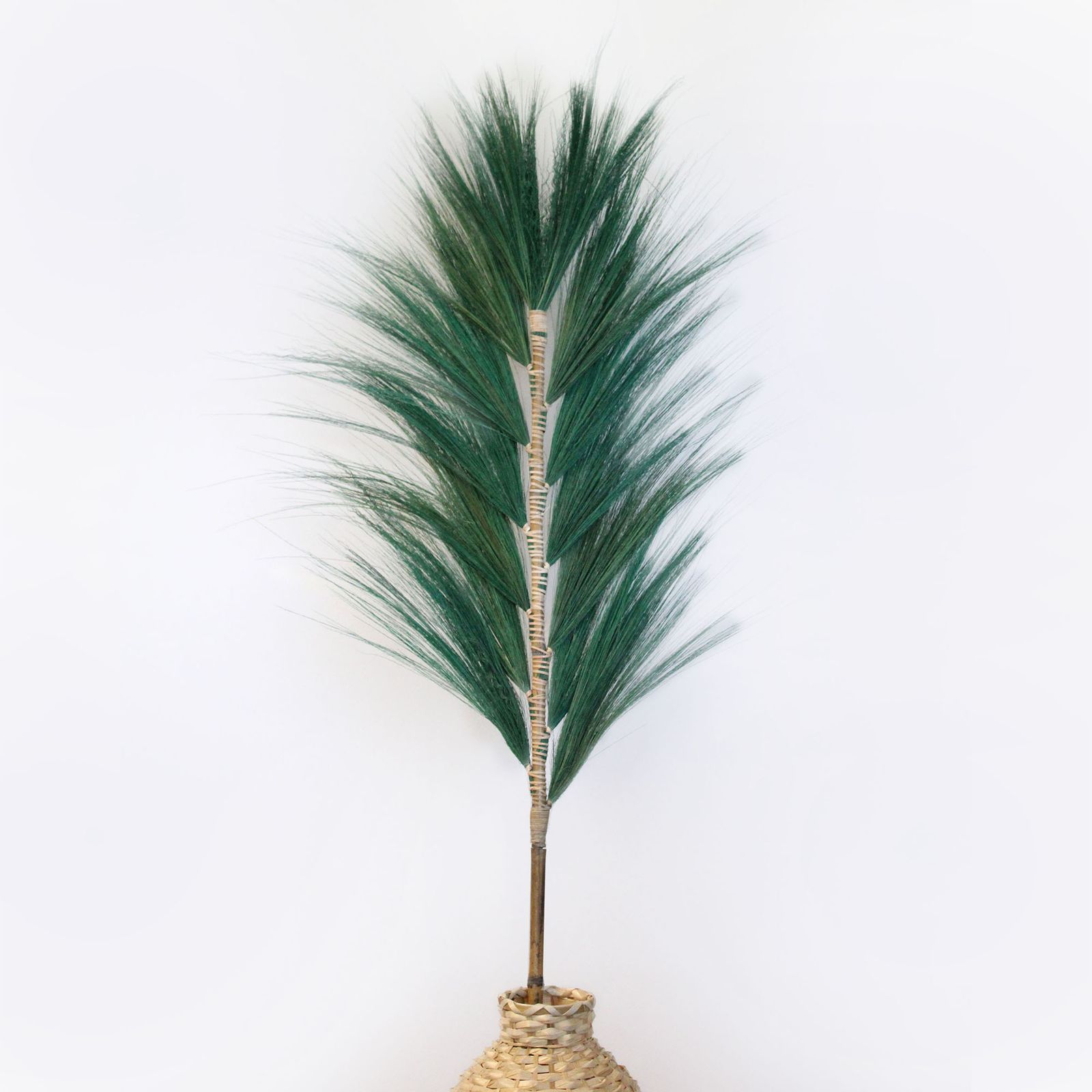 Palmera Verde de Rayung - 1.6m - Imagen 3