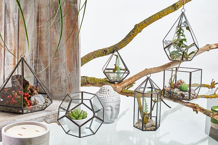Terrario de Vidrio - Cubo en la Esquina - Imagen 4