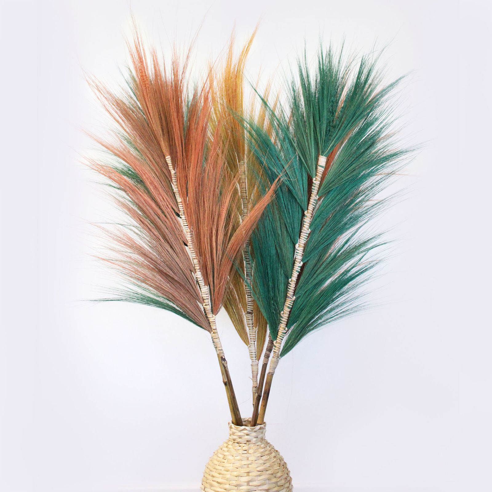 Palmera Verde de Rayung - 1.6m - Imagen 2