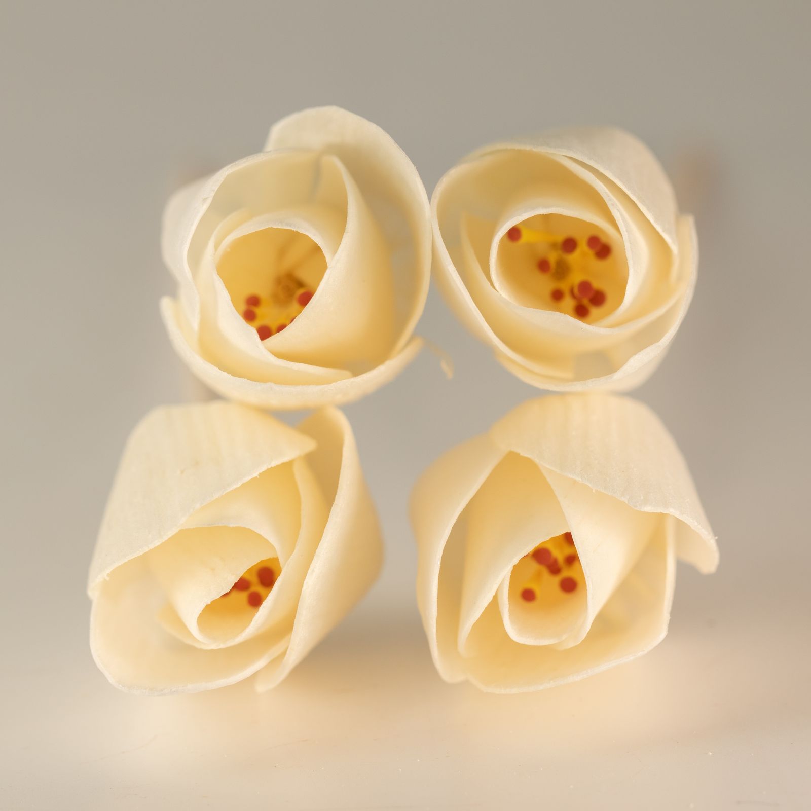 Difusor de Flores Naturales - Tulipán en Caña - Imagen 6