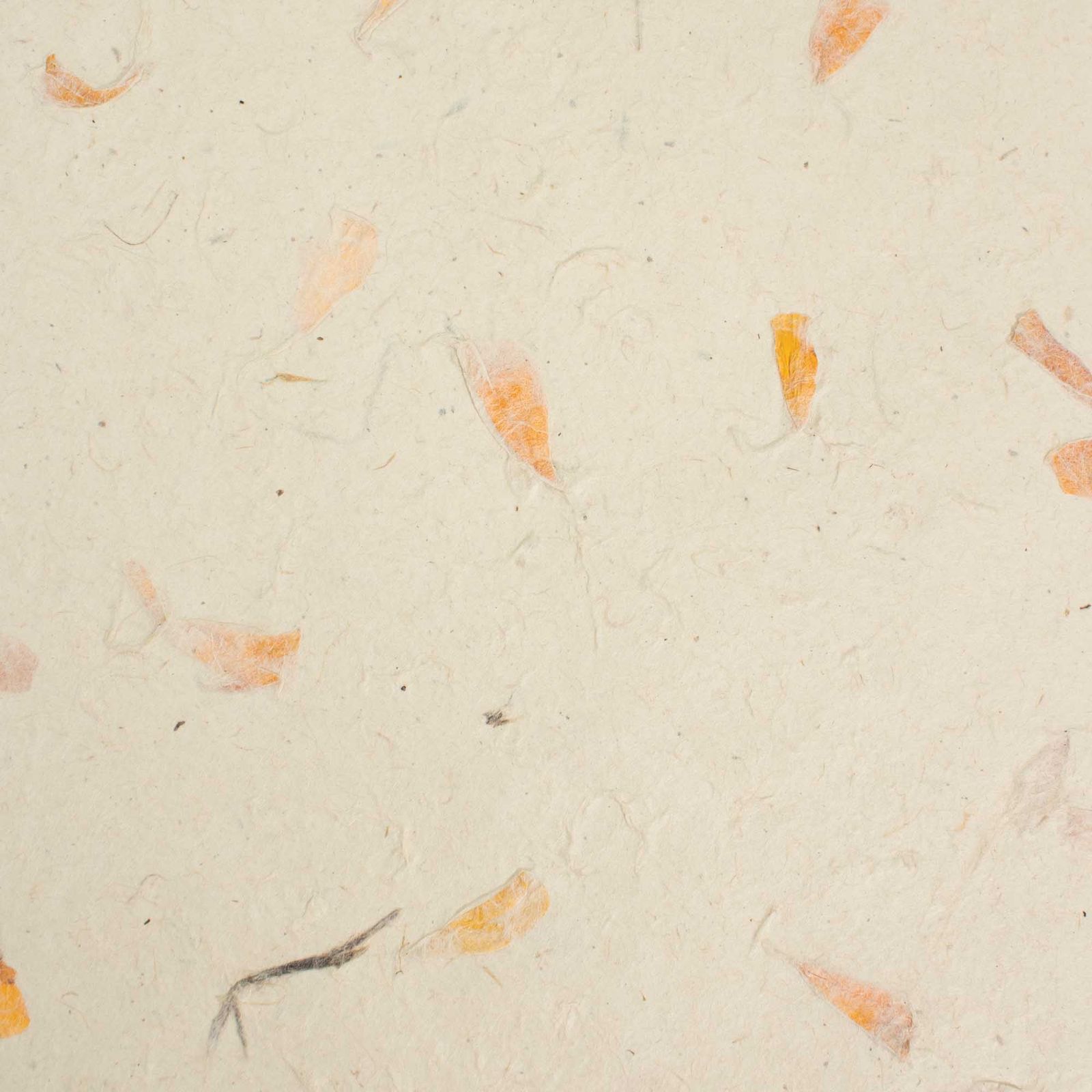 A4 - Papel artesanal Lokta (paquete de 20 hojas) - amarillo caléndula - Imagen 2