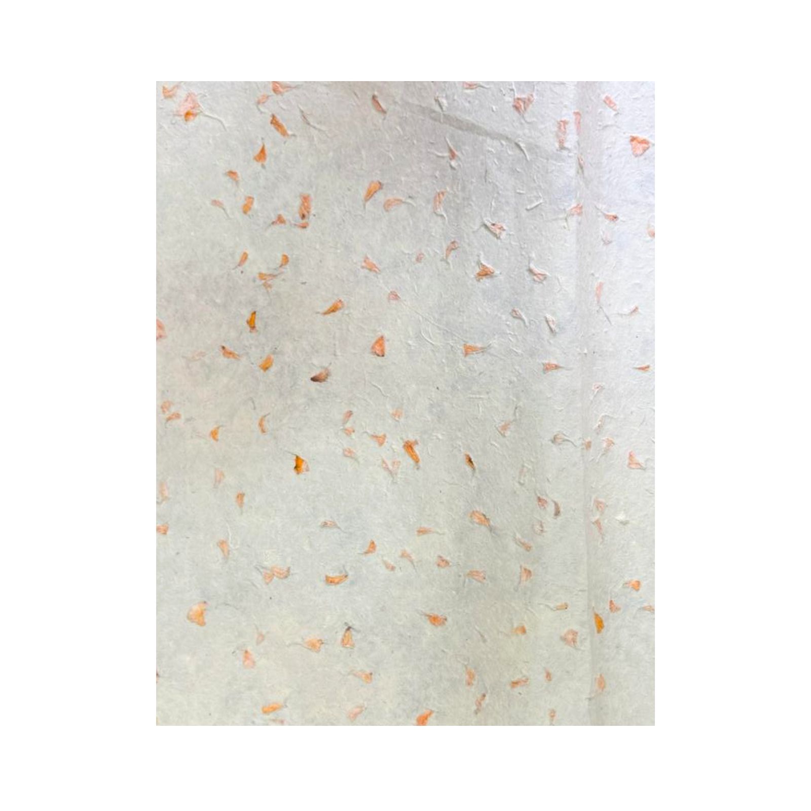 Lokta Craft / Papel de regalo (51x76cm) - Marigold - Imagen 4
