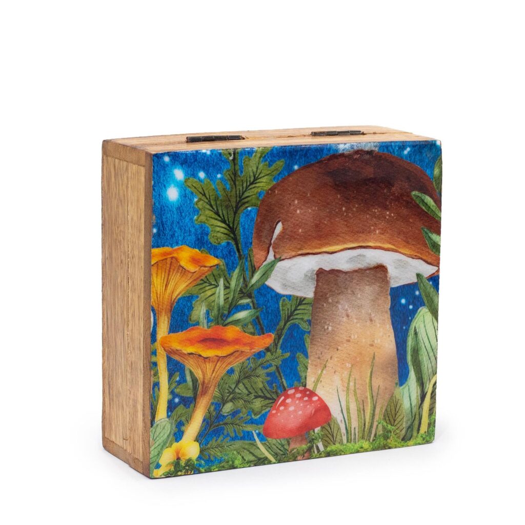 Caja Med Cuadrada 13.5x13.5x6cm - Diseño Champiñón Turquesa