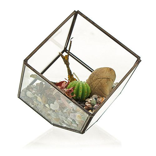 Terrario de Vidrio - Cubo en la Esquina - Imagen 2